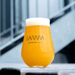 GAMMA STEMLESS BEER TUMBLER - The Great Beer Experiment