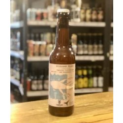 orca brau x Varvar  Free Willy  Imperial Gose mit Aprikose und Sanddorn - Craft Beer Rockstars