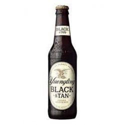 Yuengling Black And Tan 6 pack12 oz bottles - Beverages2u