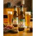 Brasserie Météor Bière sans alcool IPA OO 