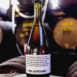 Rebel Root  Outcider 2017 - The Cat In The Glass