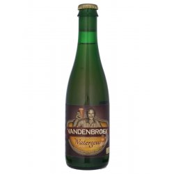 Vandenbroek - Watergeus (112023) - 37,5cl - Beerdome