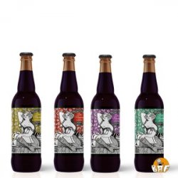 Pack 4 Demi Mondaine + 1 Petit Verre - BAF - Bière Artisanale Française