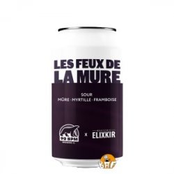 Les Feux de La Mûre (Sour) - BAF - Bière Artisanale Française