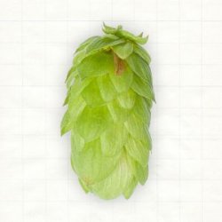 UK Fuggle Pellets Typ 90 - Hopsteiner