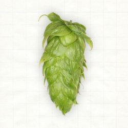 US Calypso Pellets Typ 90 - Hopsteiner