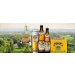 ​Maxlrainer Schloss-Gold 5.3% 