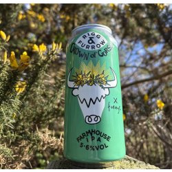 Rigg & Furrow Crown of Gorse Farmhouse IPA