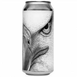 Omnipollo x Trillium Brewing Co - Really Big Bird - Left Field Beer