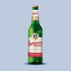 Budweiser Budvar / Czechvar Original Budweiser Budvar / Czechvar Original