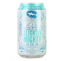 Dogfish Head Slightly Mighty - CraftShack