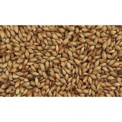 MALTA CARAMEL 60 MALTEUROP - Insumos Cerveceros de Occidente