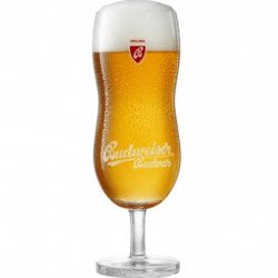 Vaso Budejovicky 30cl - Cervezasonline.com