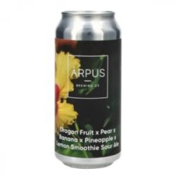 Ārpus Brewing Co. Dragon Fruit X Pear X Banana X Pineapple X Lemon Smoothie Sour Ale