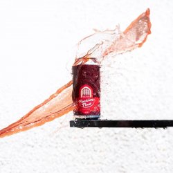 Vault City Brewing Fizzician Float Session Sour