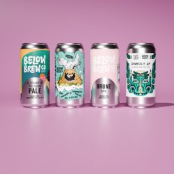 Below Brew Mixed Case Specials - Below Brew Co