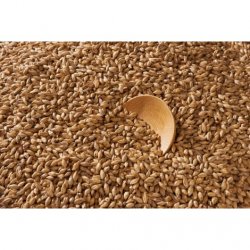 MALTA PILSNER MALTEUROP - Insumos Cerveceros de Occidente