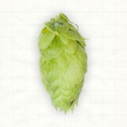 Deutschland Herkules Pellets Typ 90 - Hopsteiner
