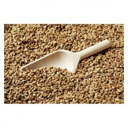 MALTA SW WHEAT CLASSIC SWAEN - Insumos Cerveceros de Occidente