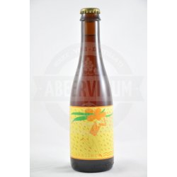 Mikkeller Spontanseabuckthorn 