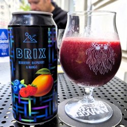 ODU BRIX - Blueberry, Raspberry, Mango Smoothie Sour - Brewklyn