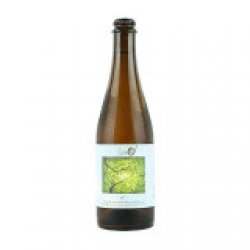 Jackie O's Pub & Brewery - Pockets of Sunlight - Mixed Fermentation Farmhouse Ale w. Honey, Coriander & Lemon Verbena - Berero