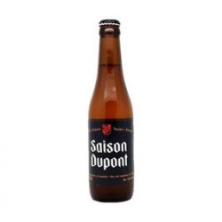 Saison Dupont 33Cl - Hellobier