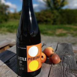 Little Pomona  Cider sessions Vol 3 2020 Club Tropicana (750ml) - The Cat In The Glass