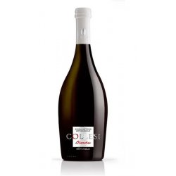 Collesi Imper Ale Blanche