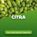 hops Citra 1 kg hops Citra 1 kg