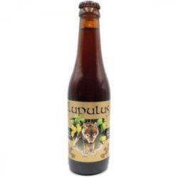 Lupulus Brune