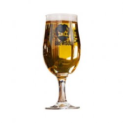 Verre Brewdog 25 Cl  Format Teku - RB-and-Beer