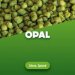 Hop pellets Opal 100 g 