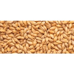 Best Peated - 1Kg - BrewCraft