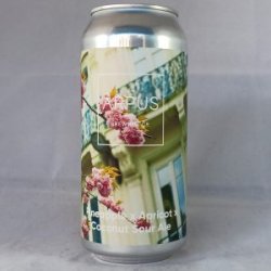 Arpus Brewing Co Pineapple x Apricot x Coconut Sour Ale - Gedeelde Vreugde