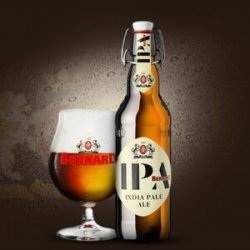 Bernard IPA - Sklep Impuls