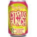 Tiny Rebel Citrus Punch 