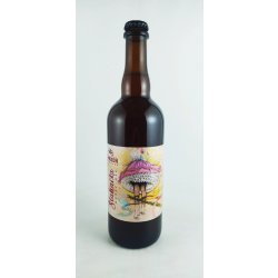 Mazák Šlahačka Amber Ale 12° - Pivní ochutnávka