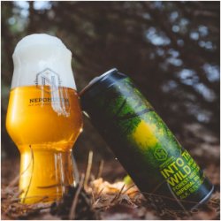 Nepomucen INTO THE WILD  FOREST WEST COAST IMPERIAL IPA - Sklep Impuls