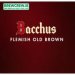 Bacchus - Flemish Old Brown - 4.5% ABV, 20l Keg (35 Pints) - One-Way Keg 