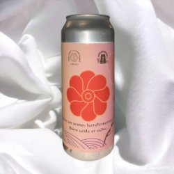 Ume no shio (Gose) - BAF - Bière Artisanale Française