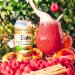 Energy City Brewing. Bistro [Peach Raspberry Crumble] 