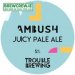 Trouble Brewing - Ambush Juicy Pale Ale - 5% ABV, 20L Keg (35 Pints) 