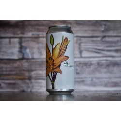 Fidens - Lily - addicted2craftbeer