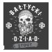 AleBrowar Bałtycki Dziad Stout 4,8% 30 l Petainer 