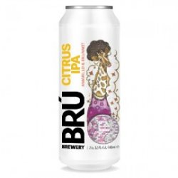 Bru Brewery Citrus IPA - Craft Beers Delivered