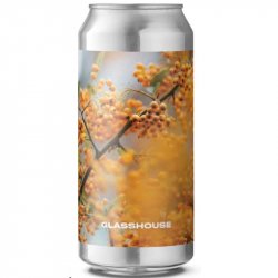 GlassHouse Beer Co In Ochre