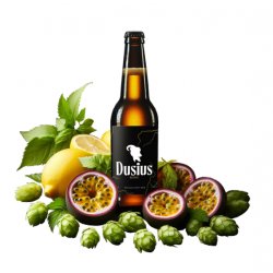 DUSIUS BLONDE 6 ° 33 CL - Rond Point