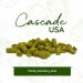 Cascade USA 