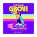 Florida Vibes: Grove  Funky Fluid 